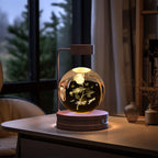 Dinosaur Crystal Ball Night Light - USB Bedside Lamp